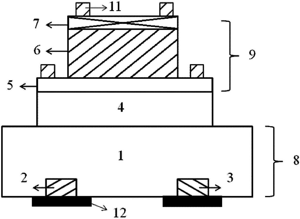 Visible-short wave infrared detector and preparation method thereof