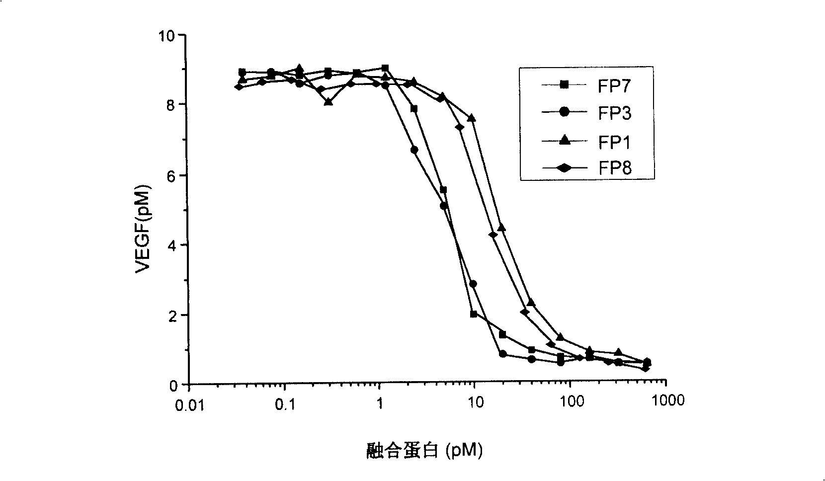 Applications of VEGF receptor fusion protein in preparation of medicament for curing diseases about angiogenesis