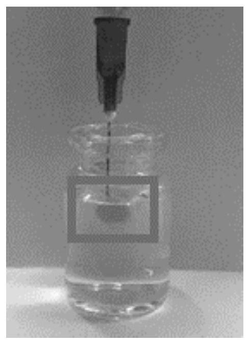 Sustained-release preparation, preparation method and application thereof in preparation of in-situ tumor combined immunotherapeutic medicines