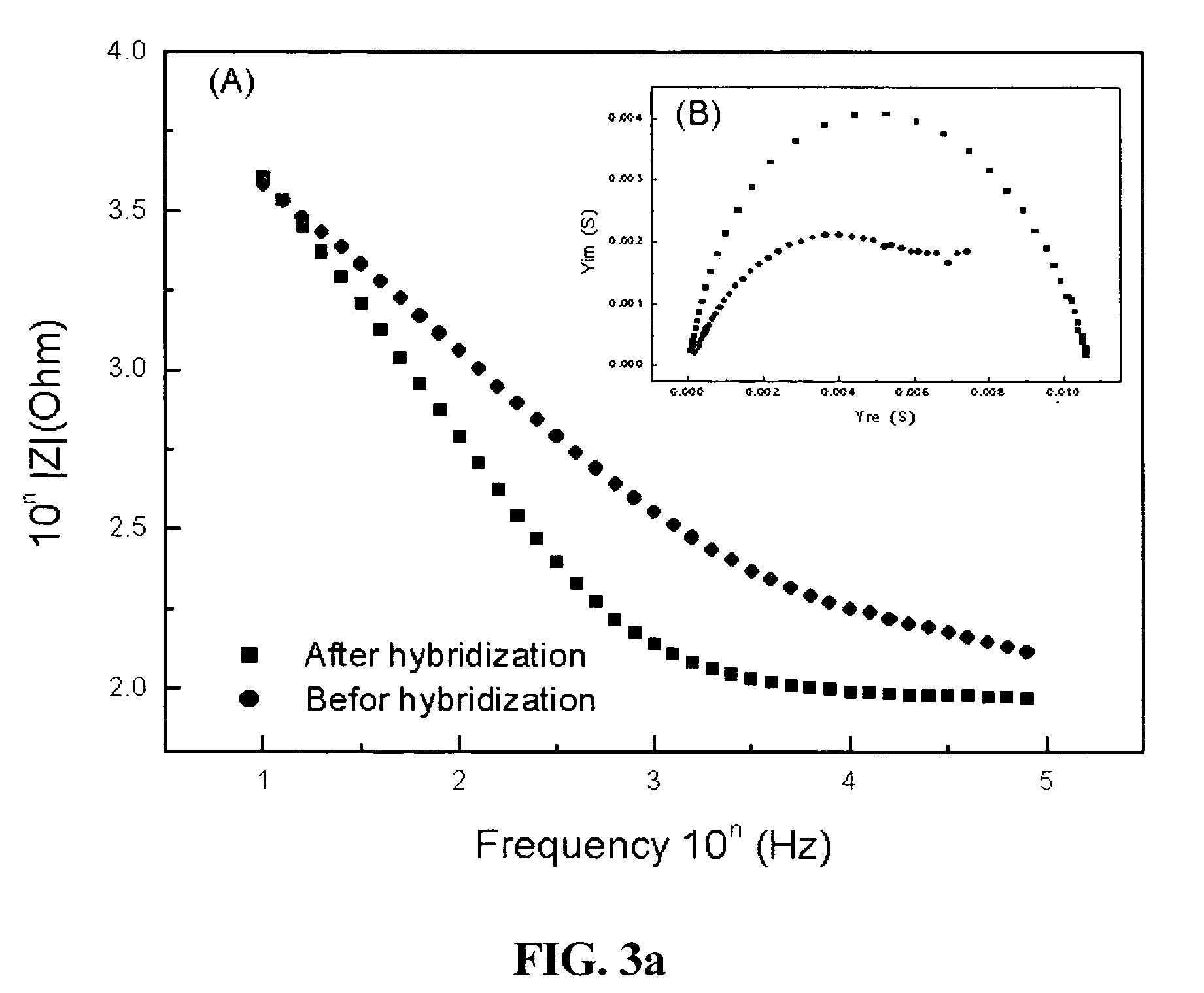 Terthiophene-3-carboxylic acid compound and fabricating method thereof, functionalized conductive terthiophene polymer with the compound as a monomer, process for DNA hybridization detection using the polymer, and fabricating method of probe DNA