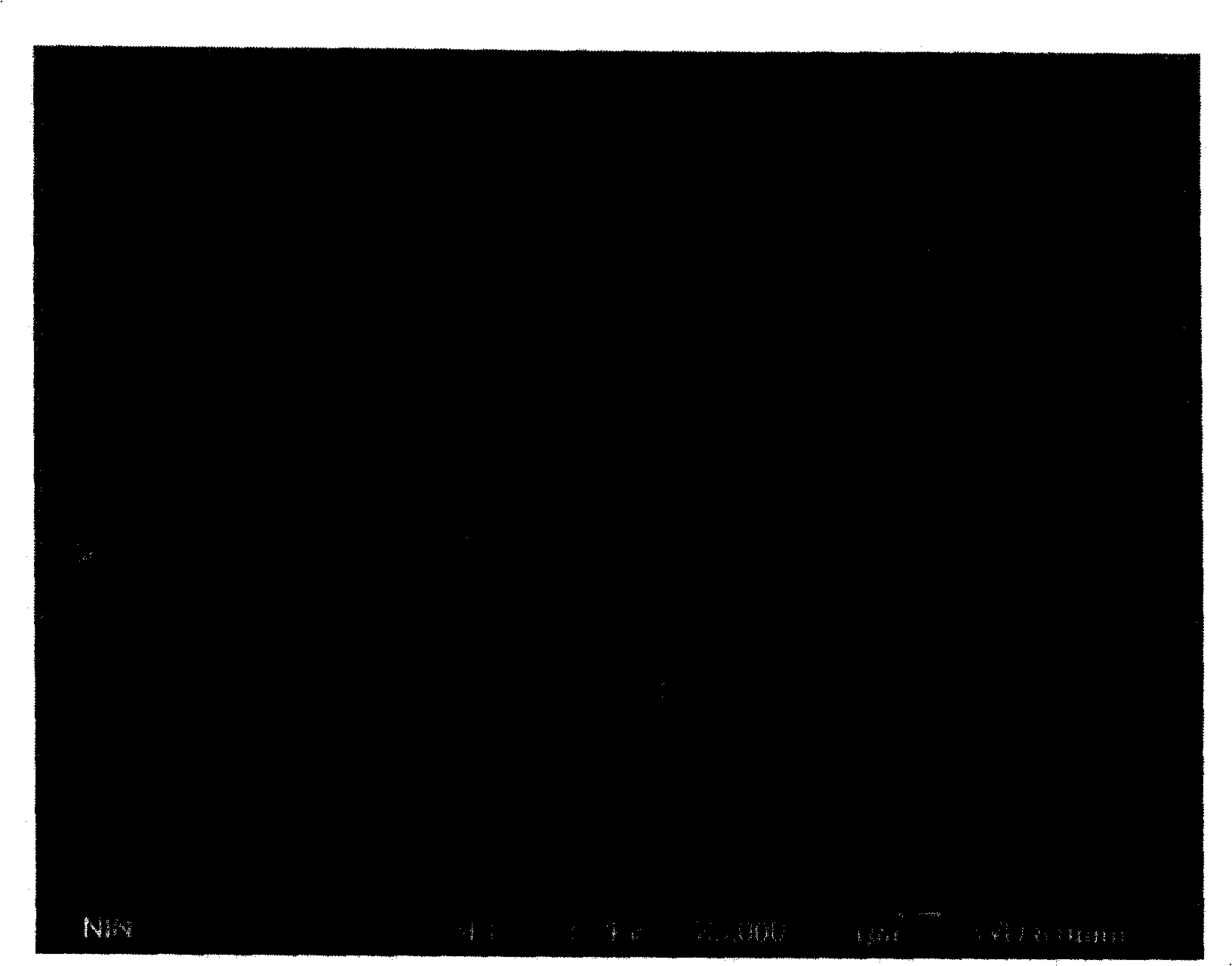 Method for testing GaN single-crystal fault kind and density