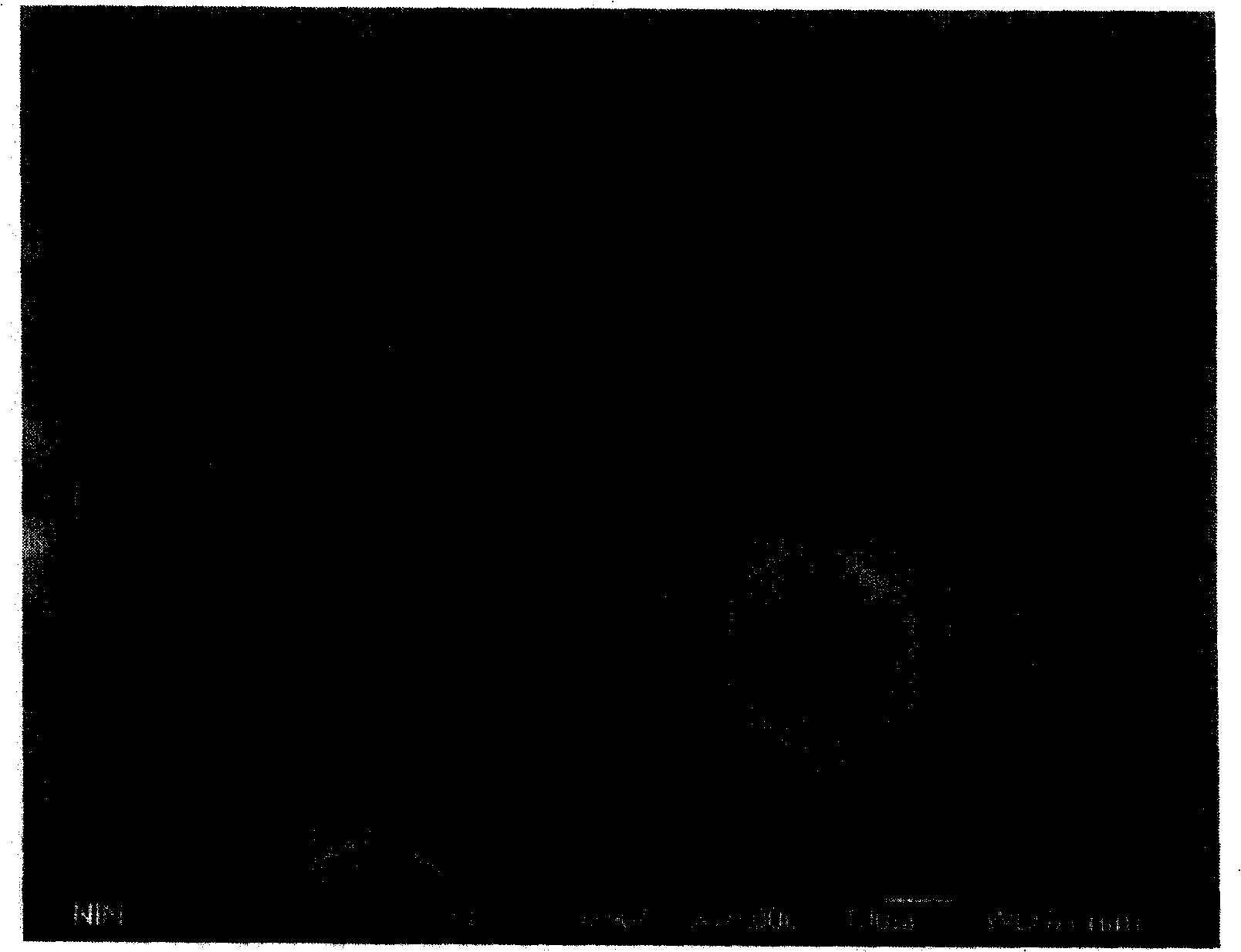 Method for testing GaN single-crystal fault kind and density