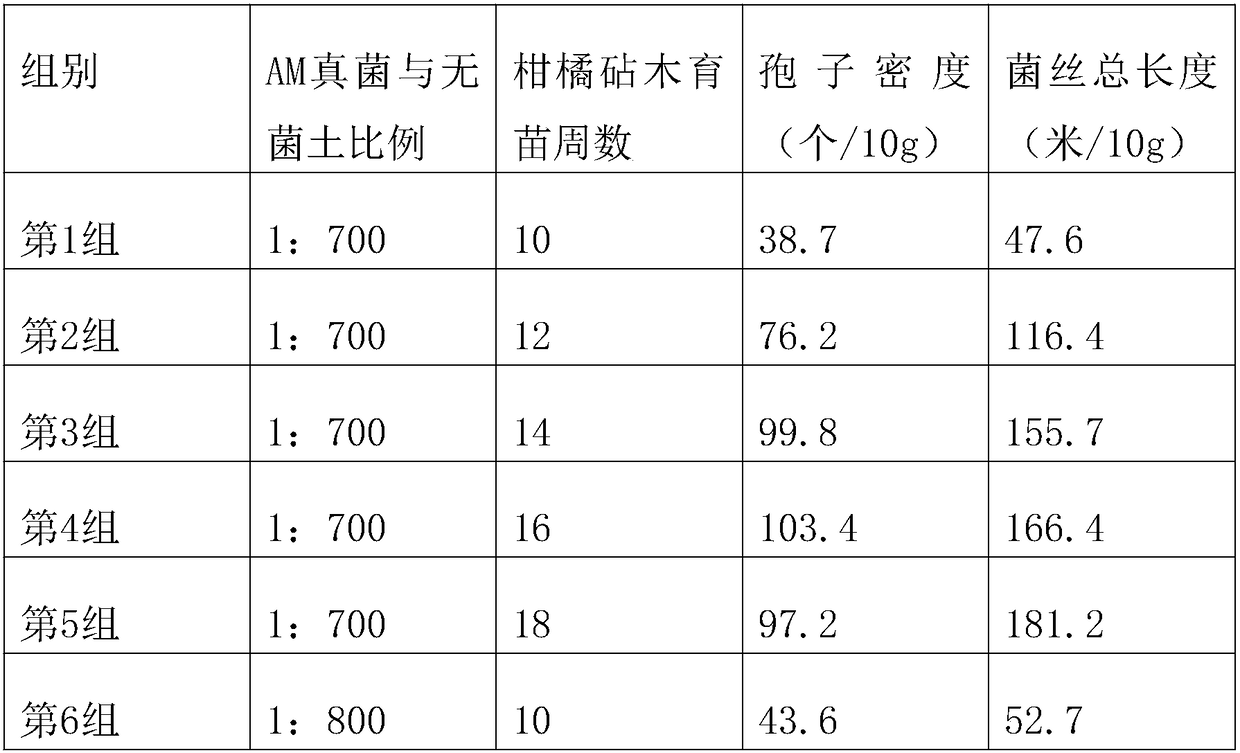 Obligate citrus AM inoculant and preparation method thereof