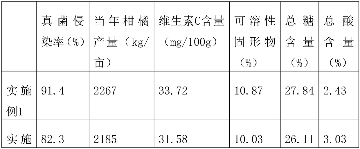 Obligate citrus AM inoculant and preparation method thereof