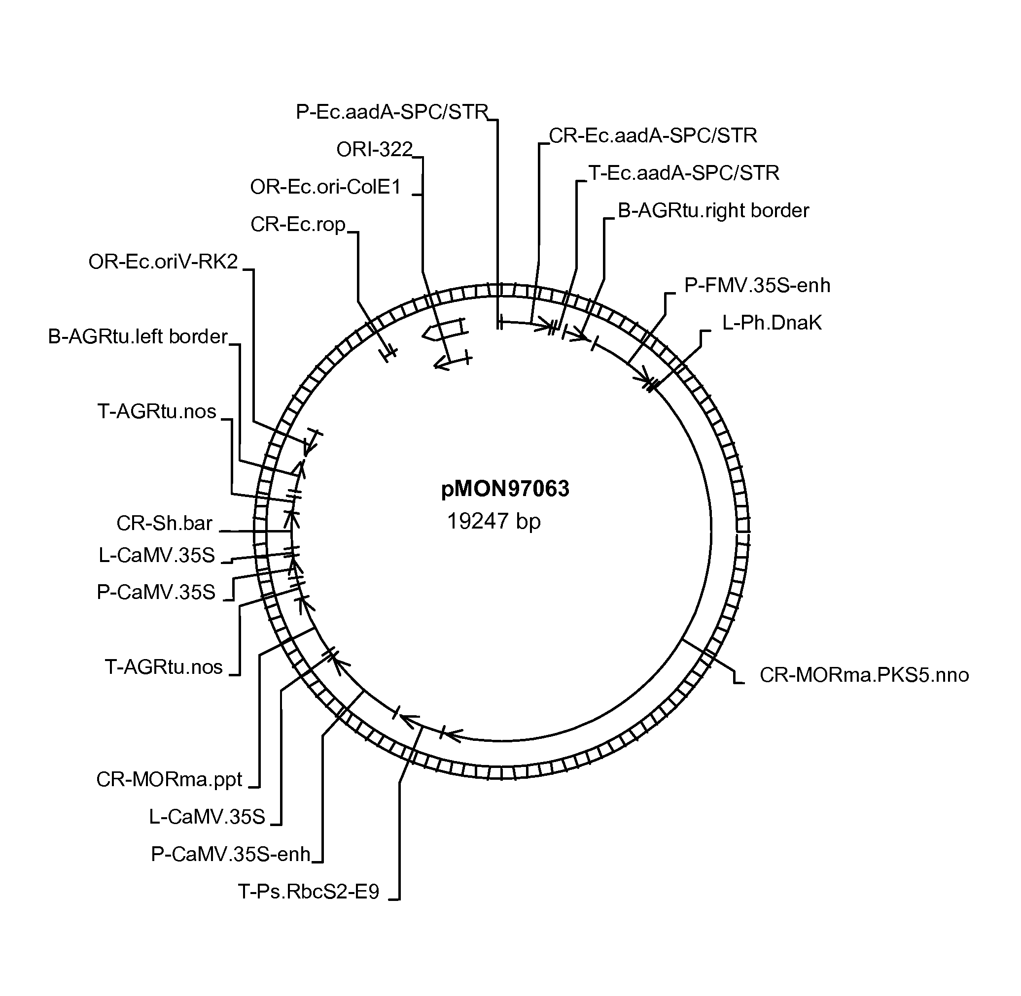 Phosphopantetheinyl transferases from bacteria