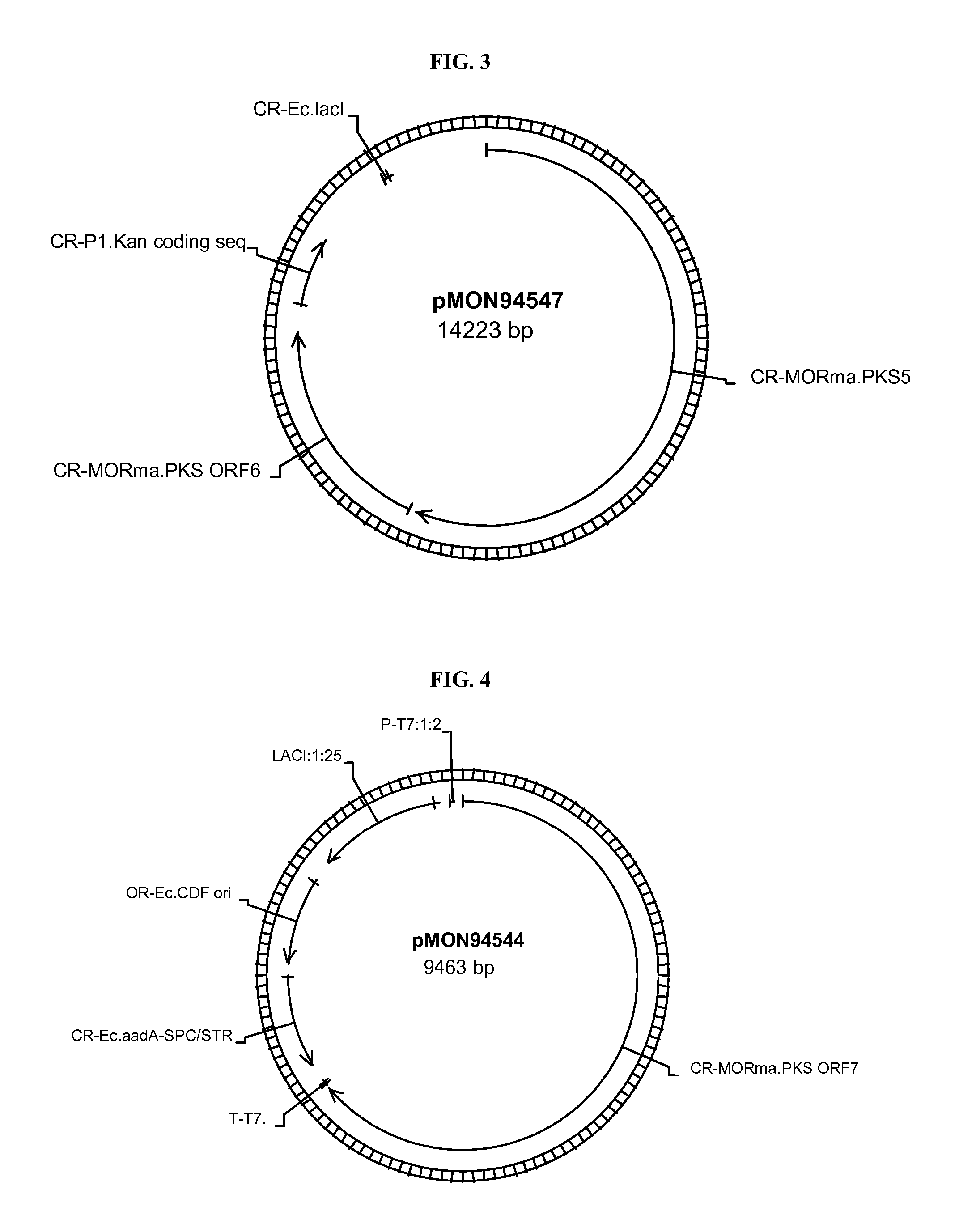 Phosphopantetheinyl transferases from bacteria