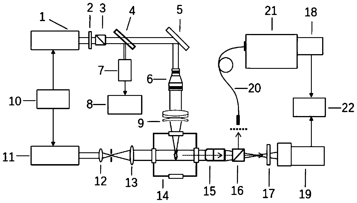 Underwater LIBS spectrum-image combined detection device based on hyperbaric chamber