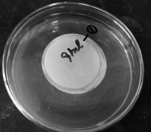 A qualitative detection method for mold and yeast in Lactobacillus paracasei direct injection strain