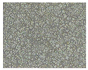 Preparation method for refined magnesium alloy solidification tissue