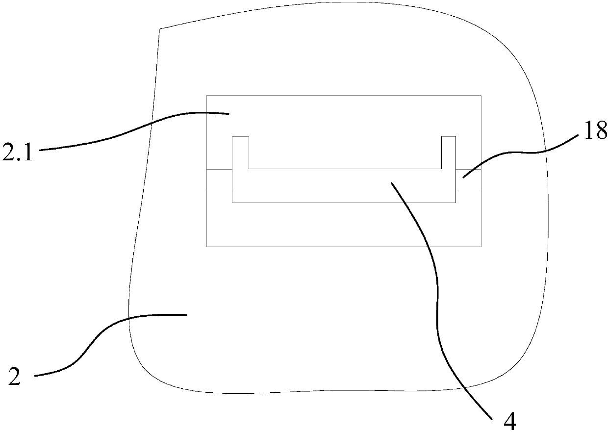 Pretreatment device for fed materials of injection molding machine