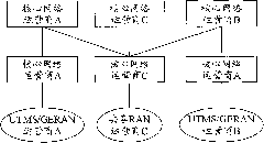 Realization method for selective migration in shared network