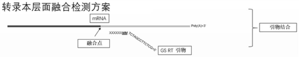 A method for detecting eml4-alk, ros1 and ret fusion gene mutations