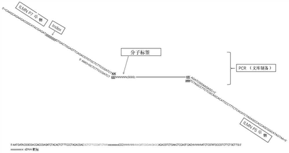 A method for detecting eml4-alk, ros1 and ret fusion gene mutations