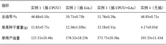 Method for balancing camellia oleifera tree growth and fruit growth