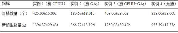 Method for balancing camellia oleifera tree growth and fruit growth