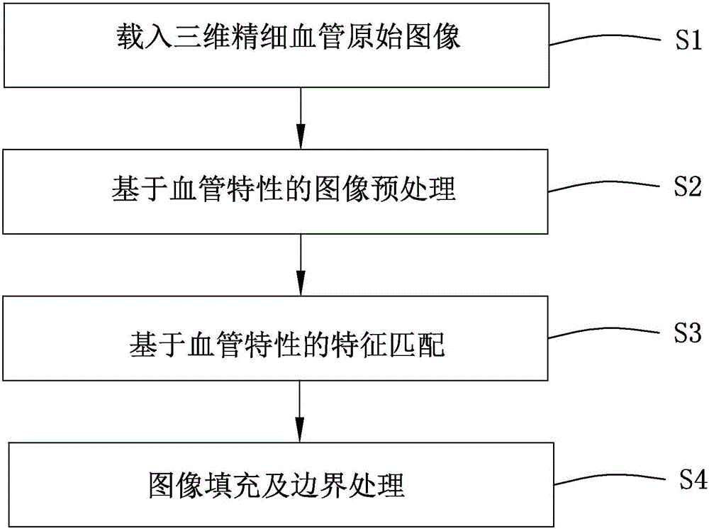 Three-dimensional fine blood vessel reconstruction method and system