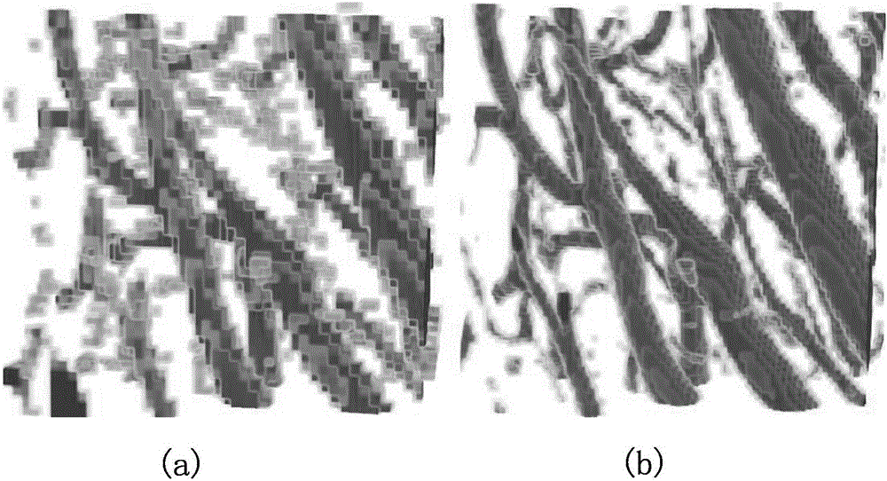 Three-dimensional fine blood vessel reconstruction method and system