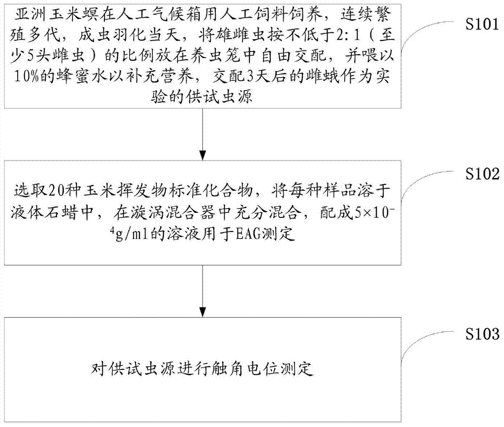 Electroantennogram reaction test method of corn borer female silkworm to corn plant volatile substances