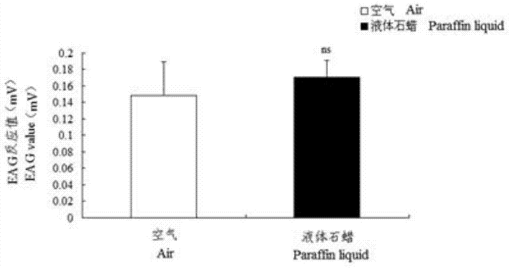 Electroantennogram reaction test method of corn borer female silkworm to corn plant volatile substances