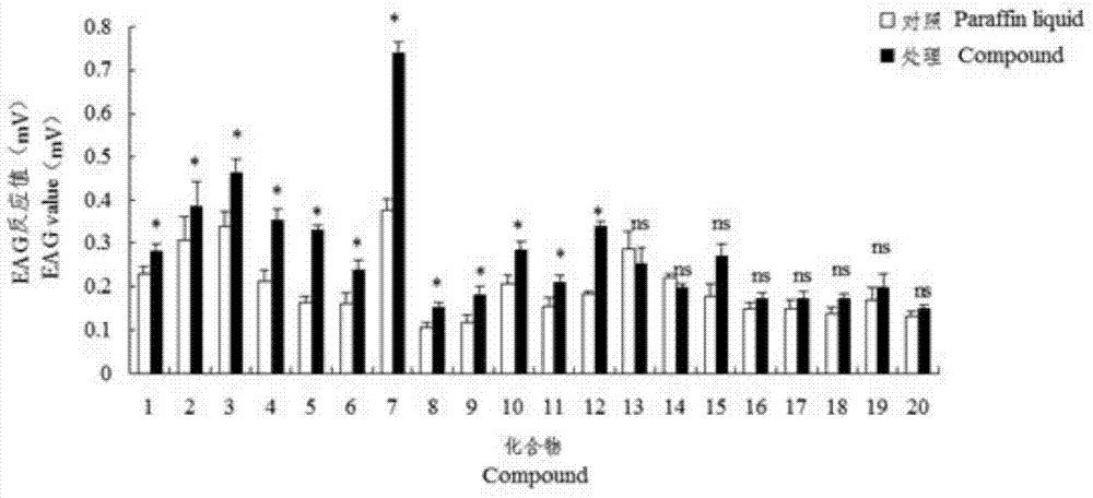 Electroantennogram reaction test method of corn borer female silkworm to corn plant volatile substances