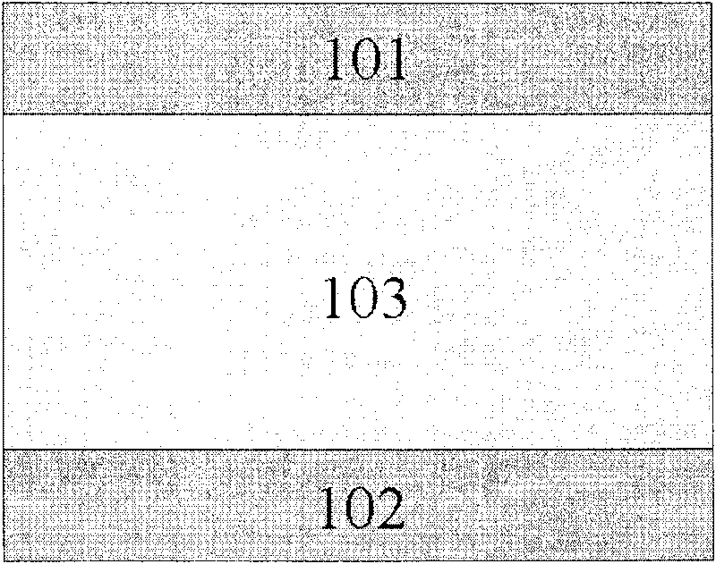 Dyadic transition group metallic oxide non-volatilization electric resistance transition type memory