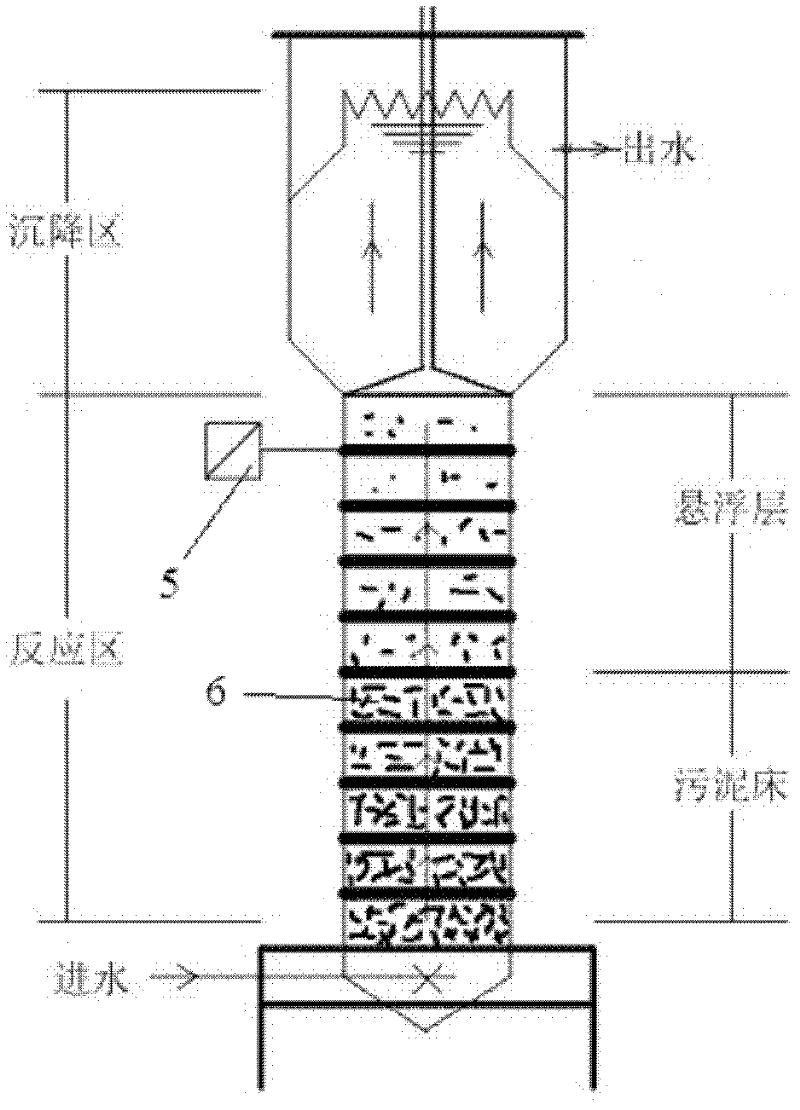 Experimental device for treating emulsified oil wastewater by UASB/MBR technology