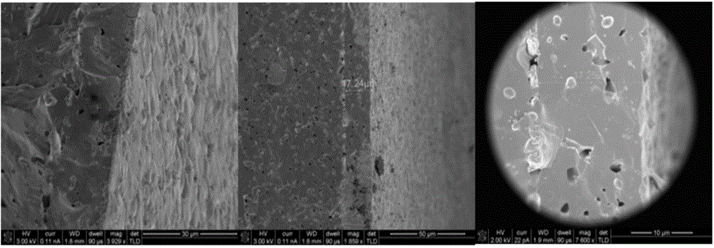 Thick BZT film having EC effect, and its making method