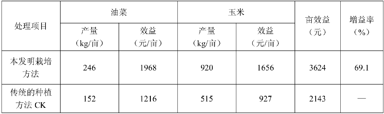 Cultivation method for crop rotation of rapeseed and corns covered by films in whole process annually