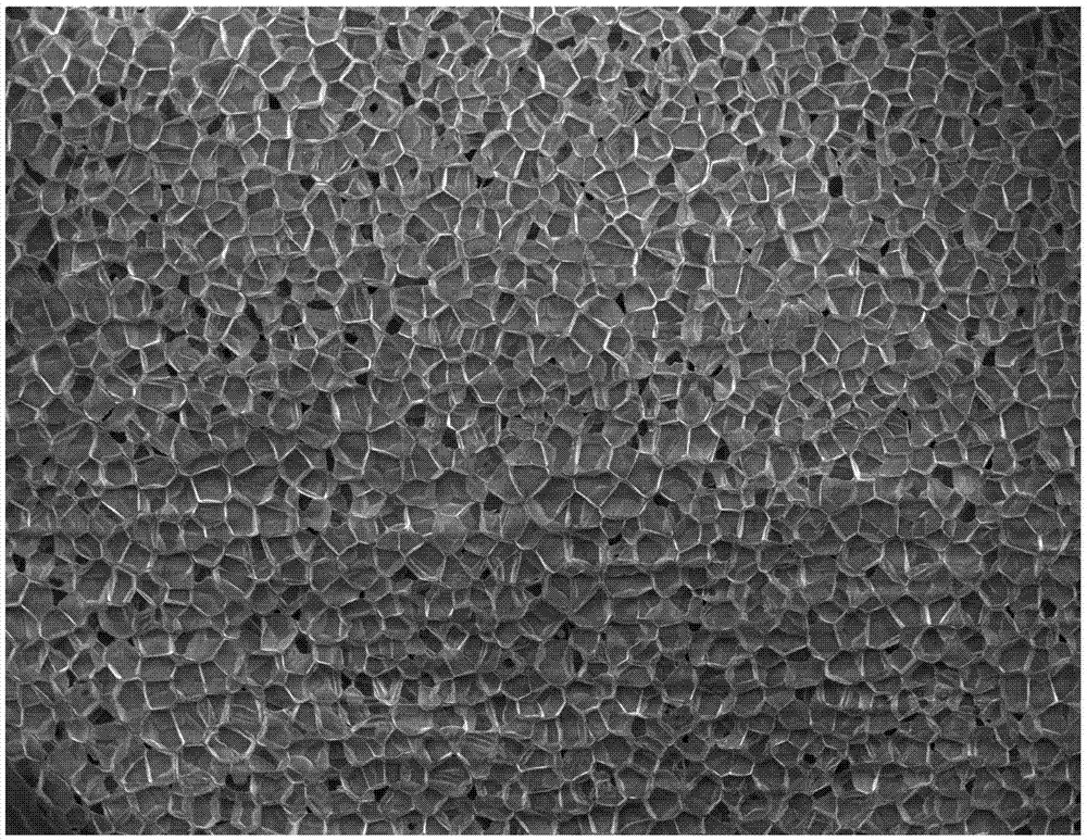 Preparation method for thermoplastic polyurethane elastomer foaming material