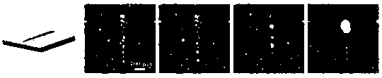 Micro-droplet control method based on laser direct writing technology