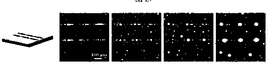 Micro-droplet control method based on laser direct writing technology