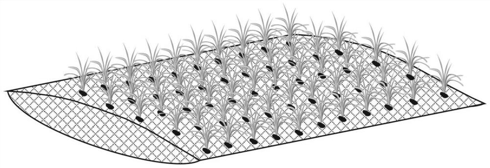 Method for recovering submerged plants with hard substrates