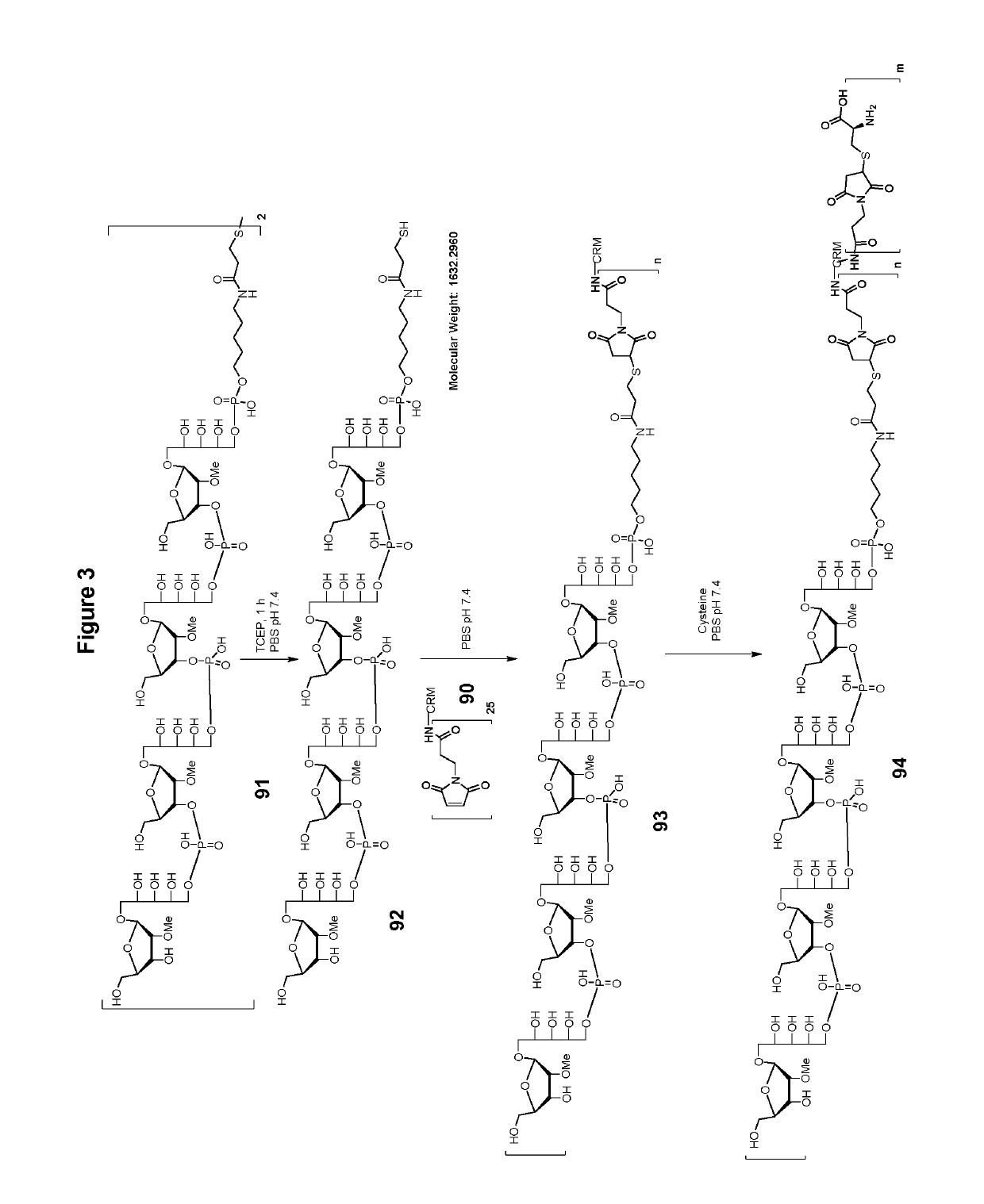 Stable hydrolysis-resistant synthetic polyribosylribitolphosphate derivatives as vaccines against haemophilus influenzae type b