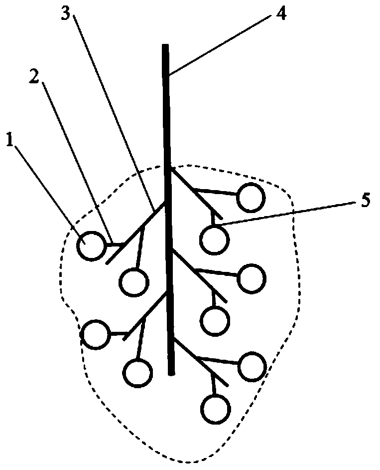 A simulation model of ear vibration shedding and its construction method