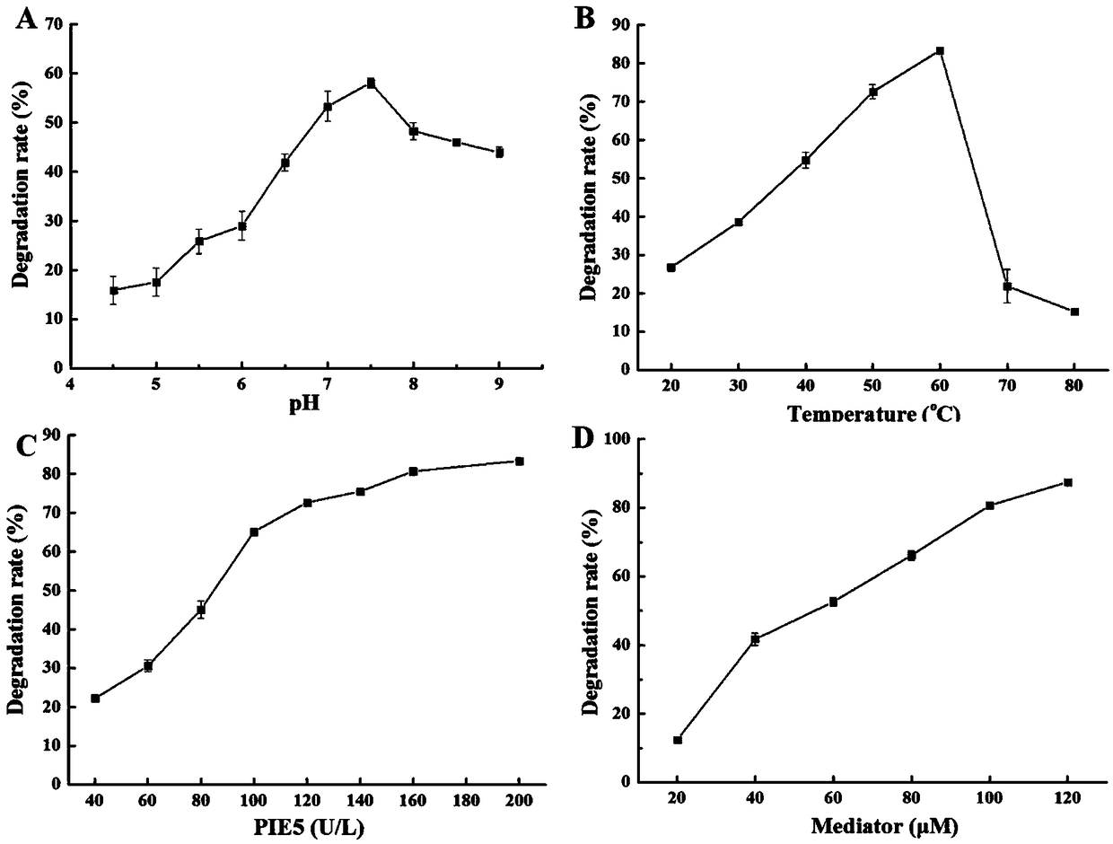 Fungal laccase mutant PIE5 as well as expression strain and application thereof