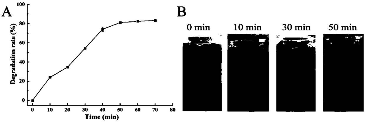 Fungal laccase mutant PIE5 as well as expression strain and application thereof