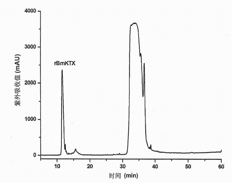 Use of scorpion source immunoloregulation polypeptide in preparing medicine for treating rheumatoid arthritis