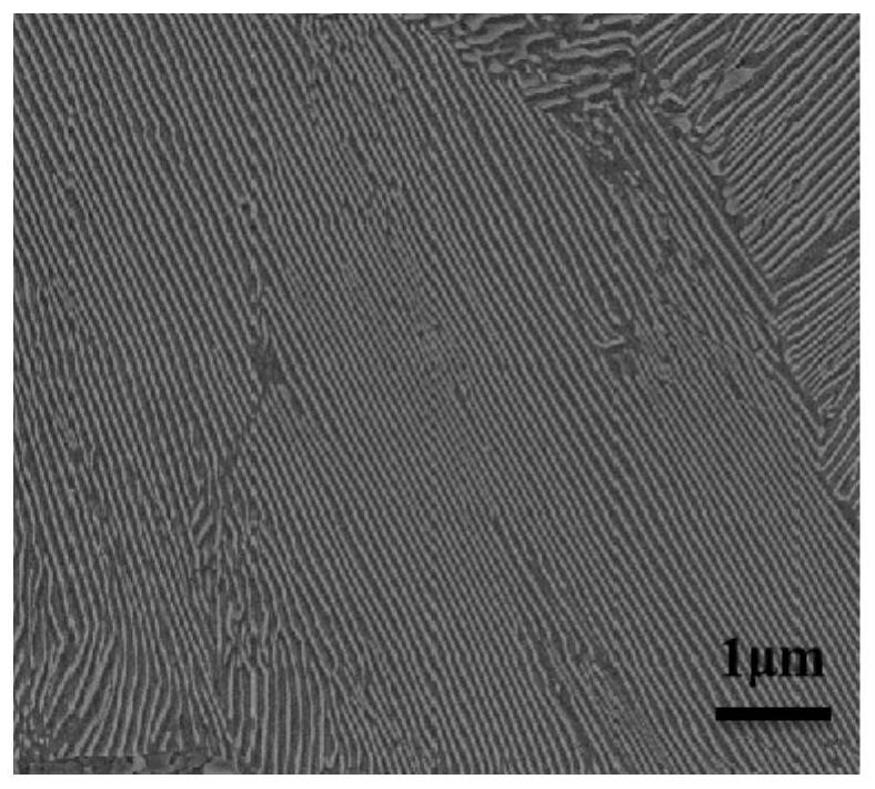 High-strength and high-toughness steel rail and preparation method thereof