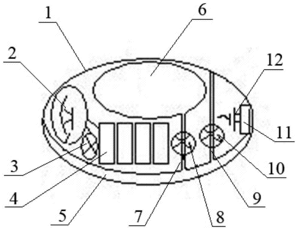 Intracavity lesion positioner for examination of integrated capsule endoscope