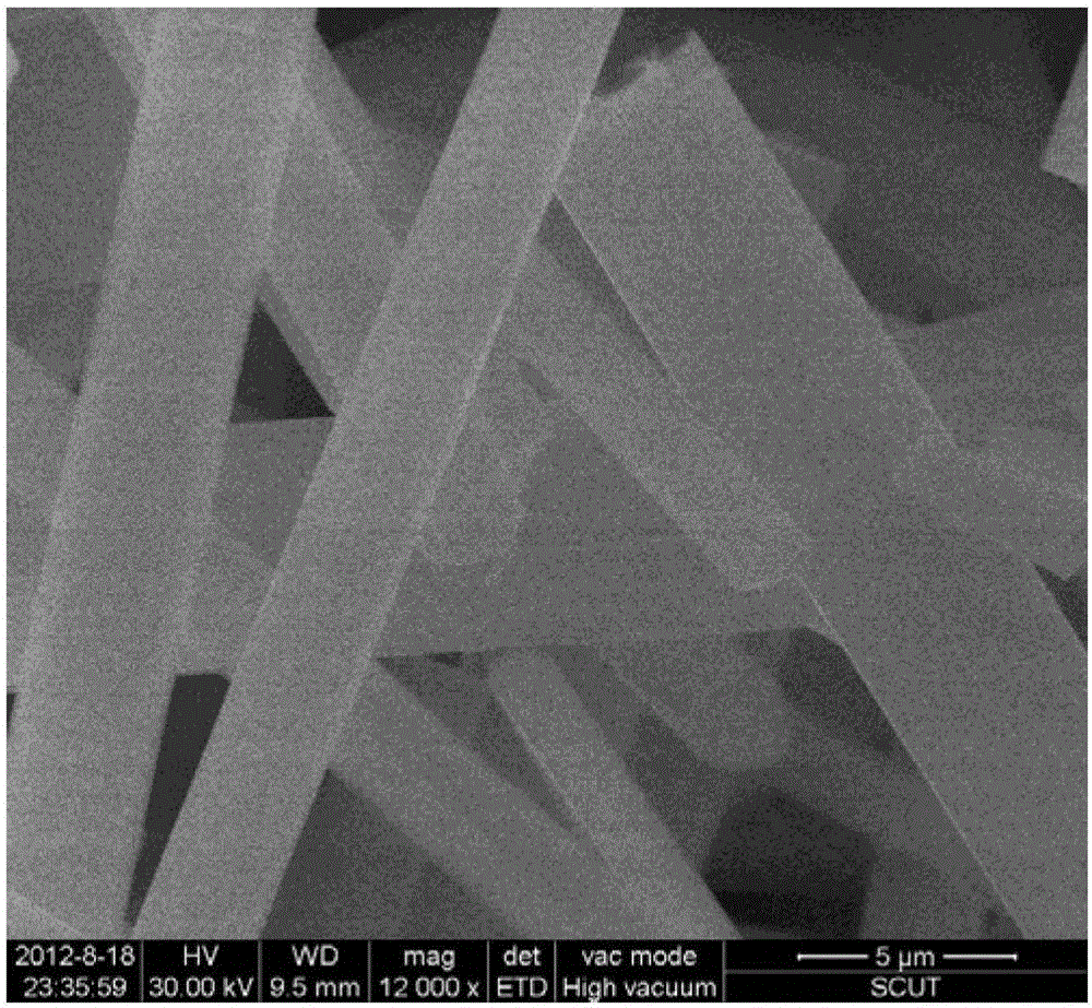 Surface Coating Modification Method and Application of Inorganic Papermaking Fiber Calcium Sulfate Whiskers