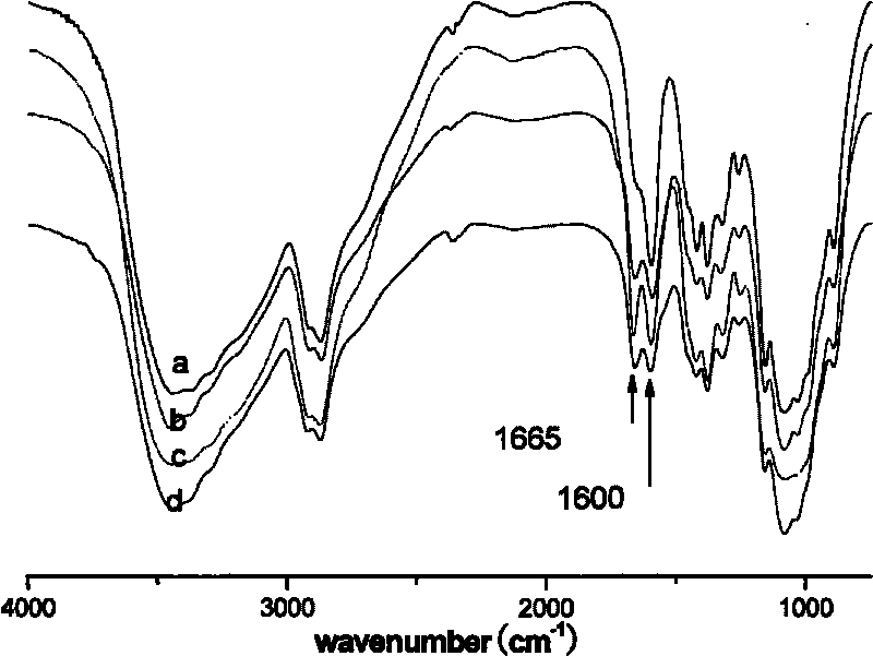 Method for preparing amphiphilic chitosan nanometer medicament carrier