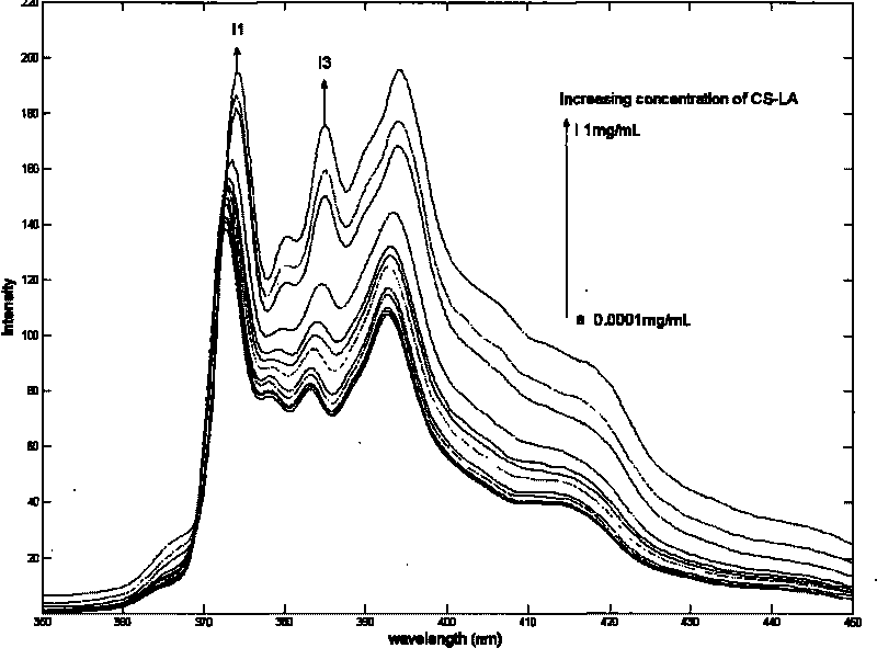 Method for preparing amphiphilic chitosan nanometer medicament carrier