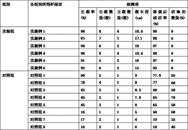 Growth agent for remedying damage of cinnamomun camphcra and preparation method and application of growth agent