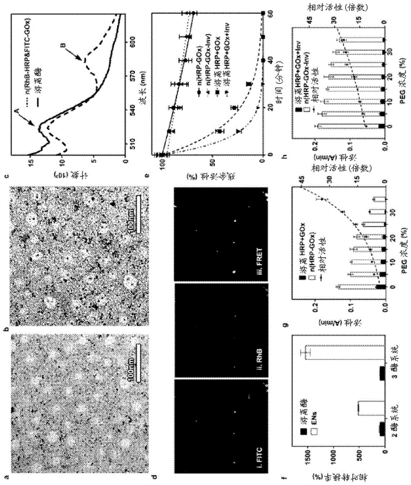 Oral delivery of enzymes using nanocapsules for targeted metabolism of alcohol or toxic metabolites