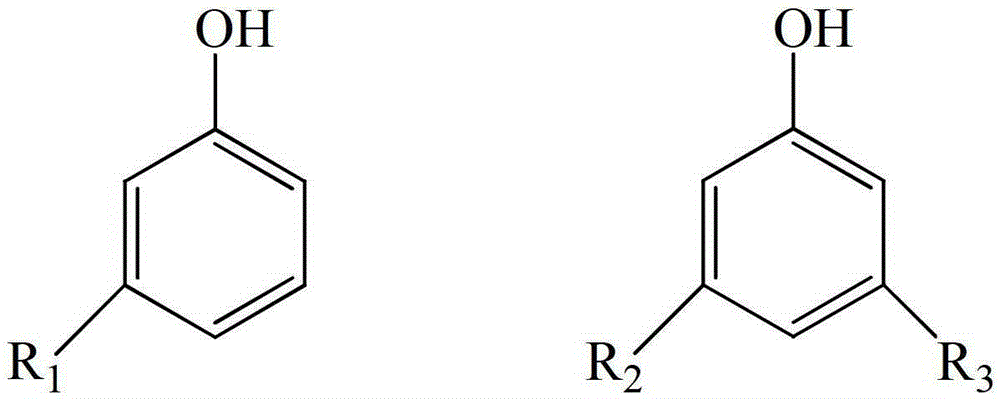 A kind of anti-high temperature modified starch fluid loss reducer and preparation method thereof