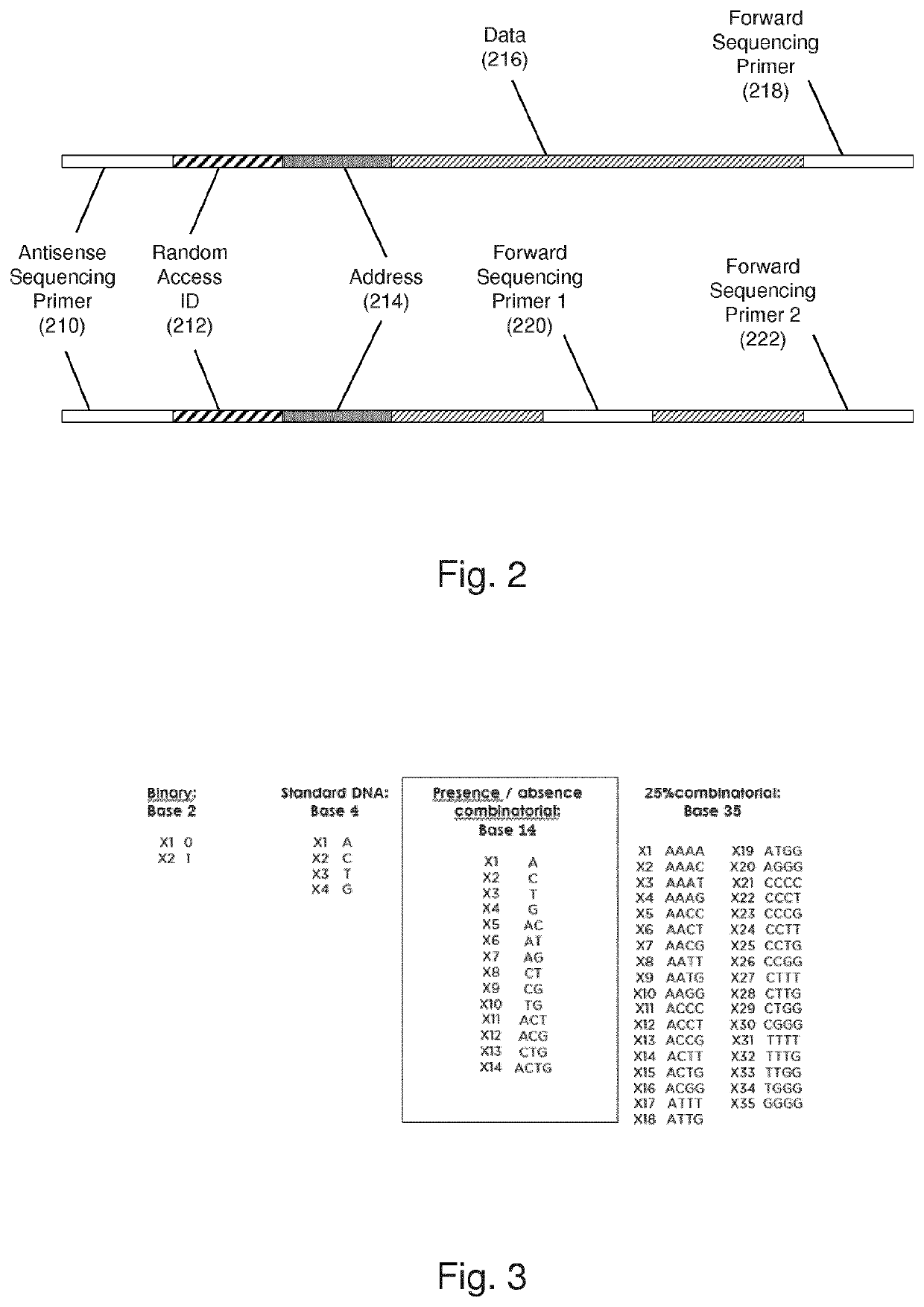 Massively Parallel Enzymatic Synthesis of Nucleic Acid Strands