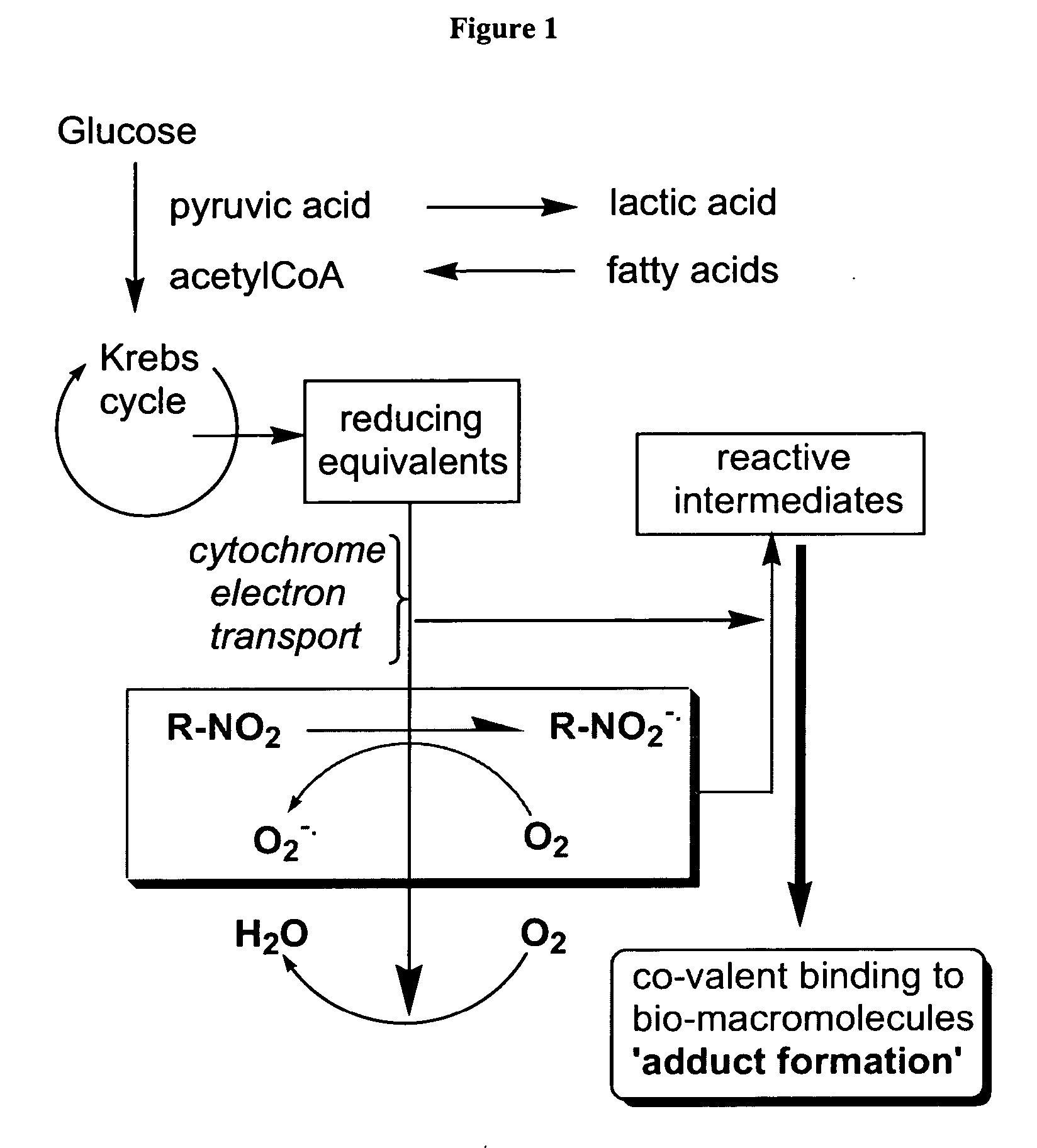 Novel compounds for hypoxic cell therapy and imaging