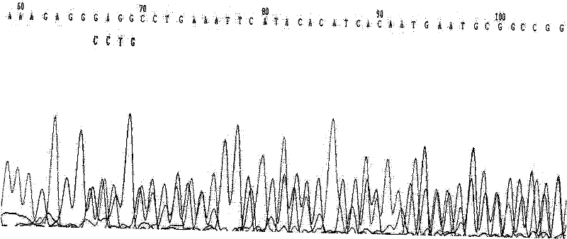 A method and kit for detecting mlh1 gene mutation