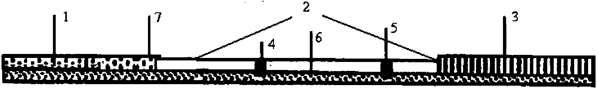 Test paper and method for detecting florfenicol and thiamphenicol