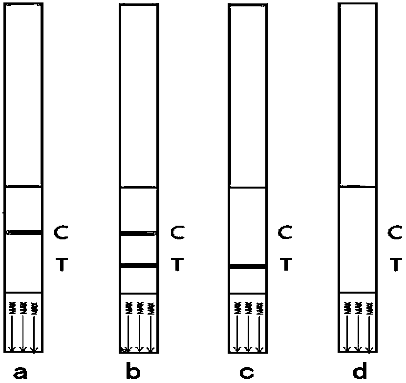 Test paper and method for detecting florfenicol and thiamphenicol